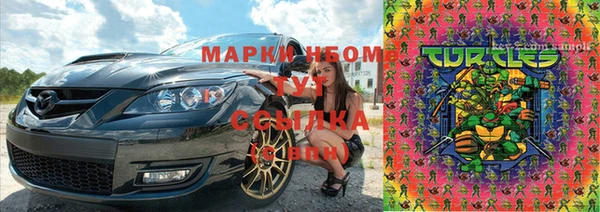 дживик Баксан