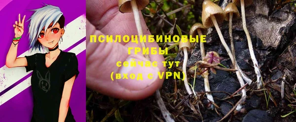 герыч Балахна