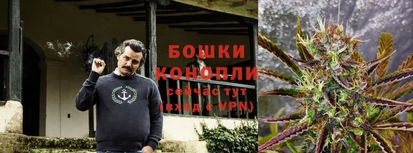 дживик Баксан